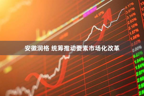 安徽润格 统筹推动要素市场化改革